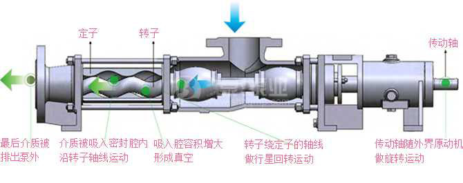 G型单螺杆泵工作原理图