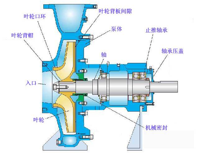 管道泵离心泵结构工作原理图